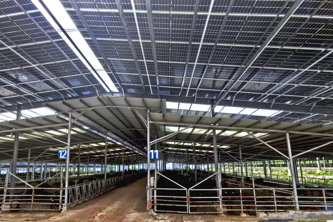 2024082782d1b04f6e8b4171b8984f028586c541