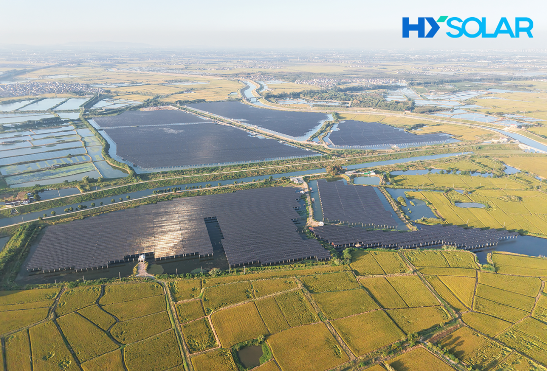 20251027ba8a1b0e16c74c638520af8a8be97a89